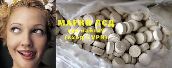 дживик Пересвет