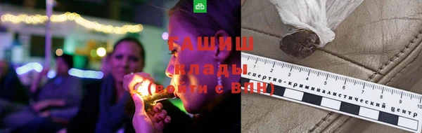 дмт Переславль-Залесский