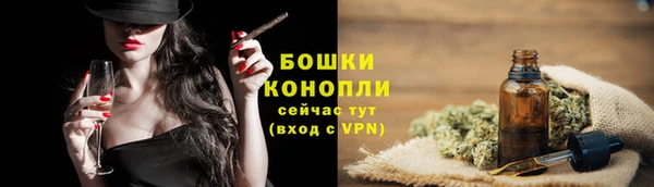 дмт Переславль-Залесский