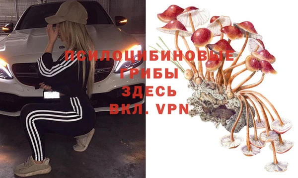 дживик Пересвет
