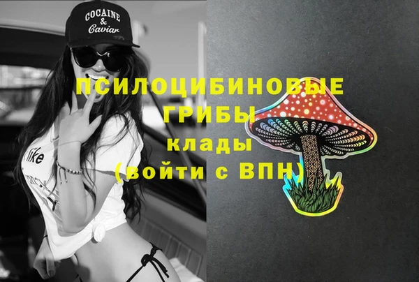 дживик Пересвет
