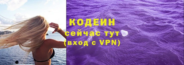 дживик Пересвет