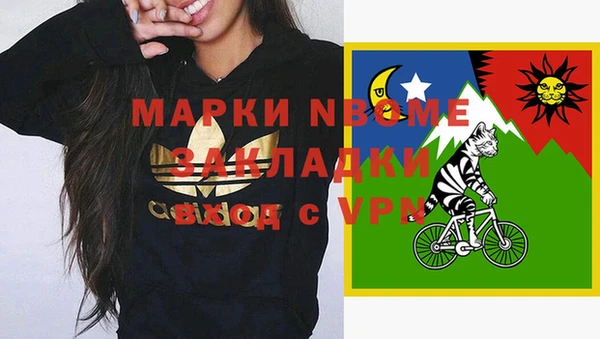 дмт Переславль-Залесский