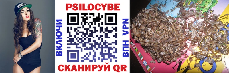 Галлюциногенные грибы Cubensis  KRAKEN маркетплейс  Прохладный  цена  