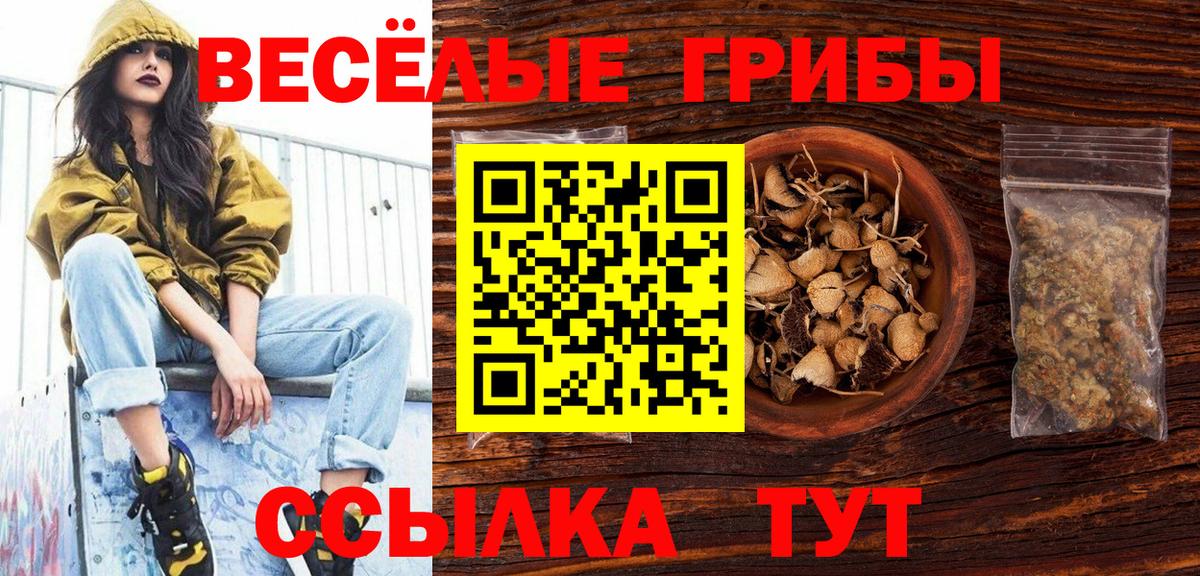 Галлюциногенные грибы Magic Shrooms Прохладный