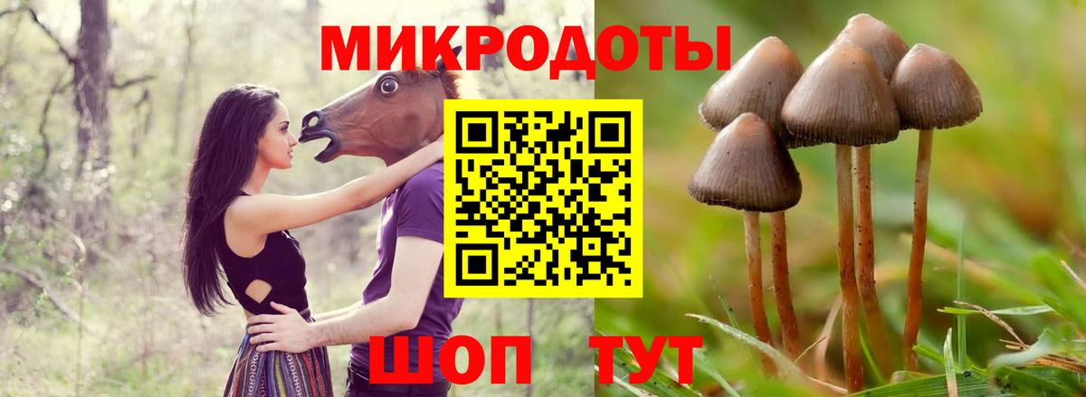 Галлюциногенные грибы Psilocybe  Псилоцибиновые грибы Psilocybine cubensis  Прохладный  Вход с VPN 