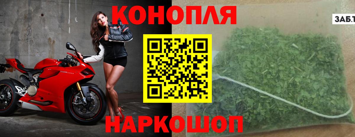Конопля план Прохладный